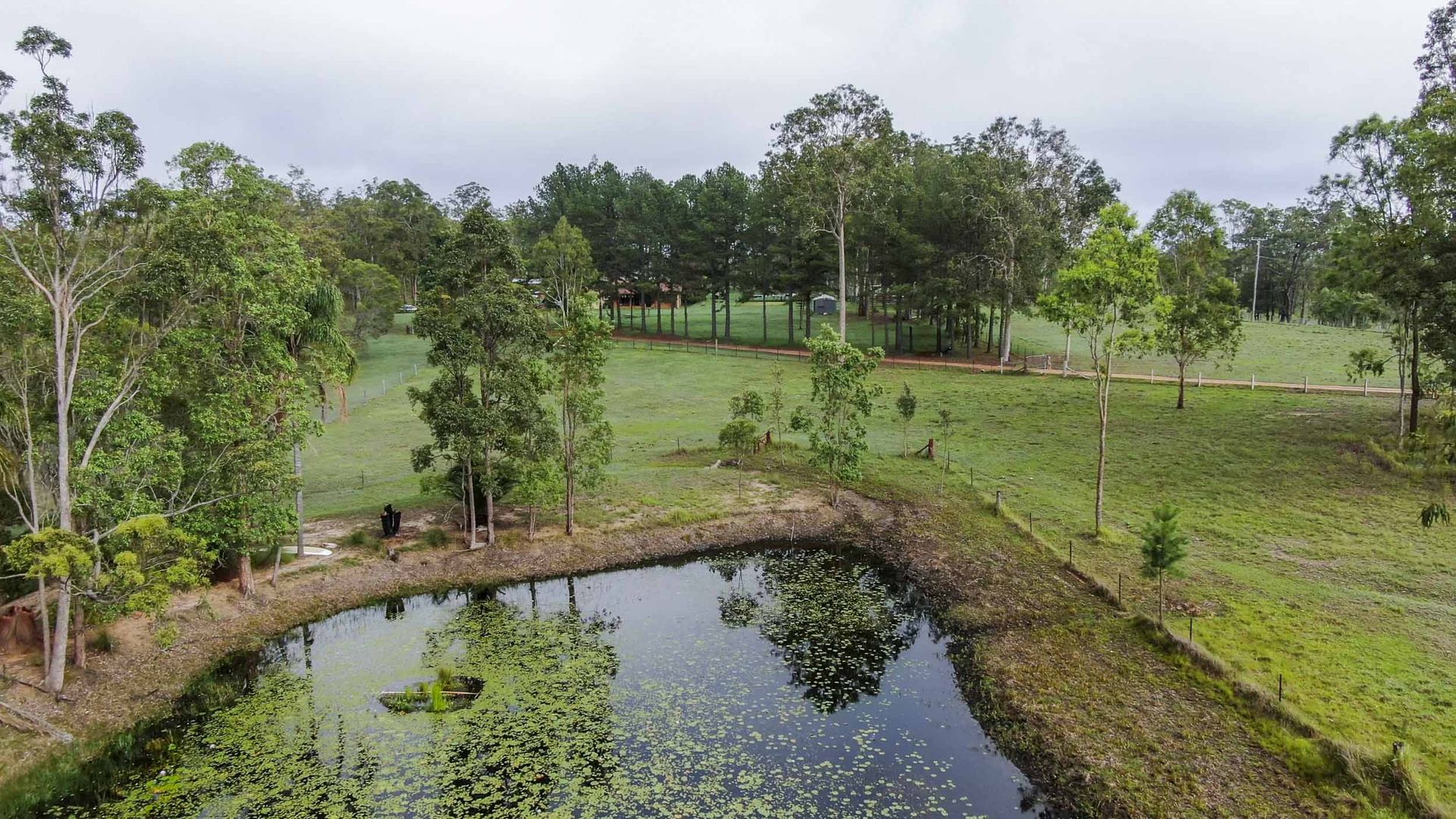 186 Whiteman Creek Road, The Whiteman NSW 2460, Image 1