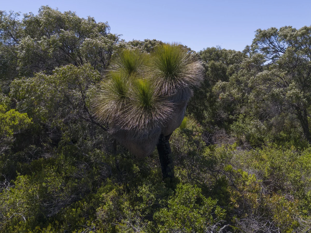 Additional image 17 of Lot 1396 Cresswell Road, Deepdene WA 6290