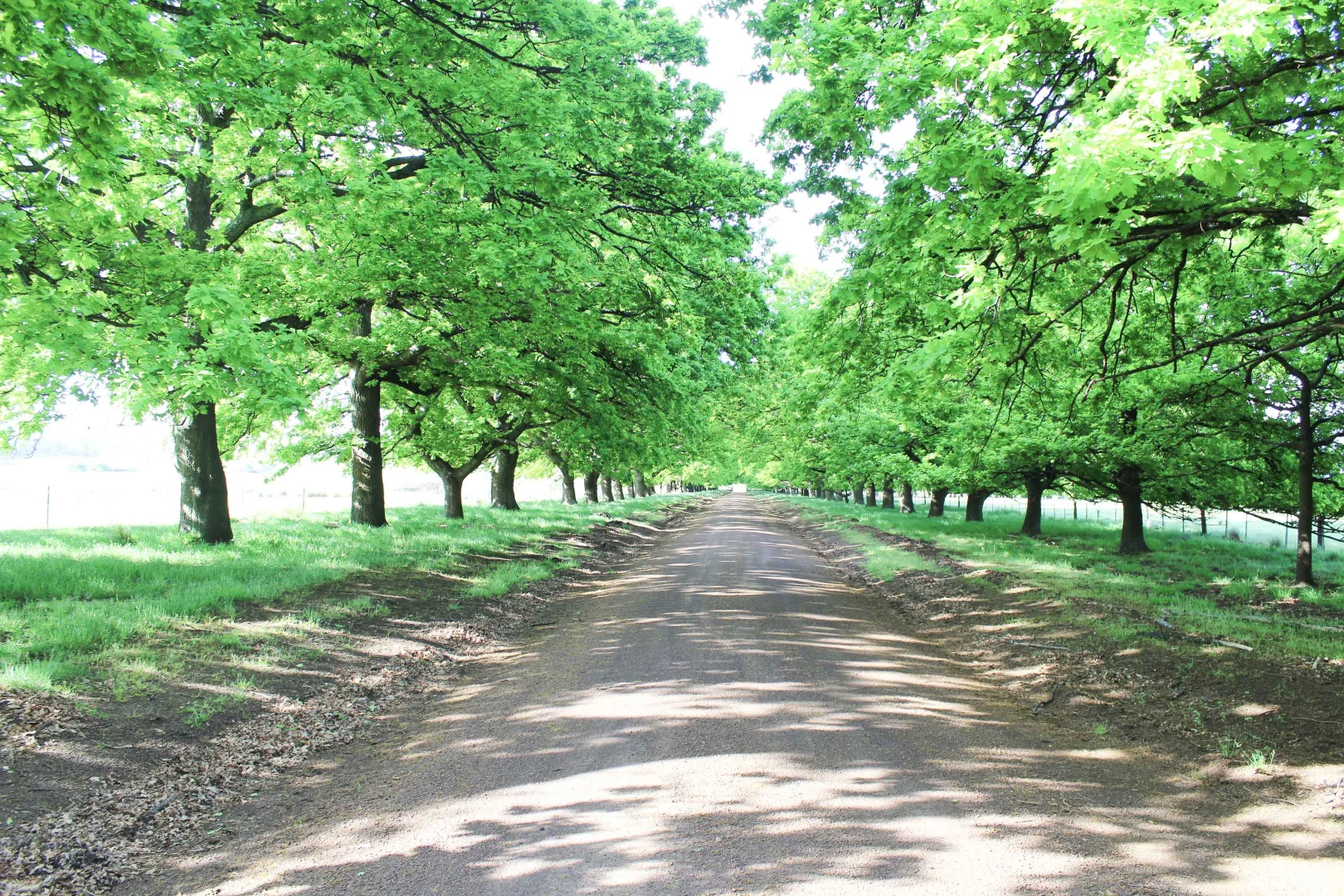 Additional image 6 of Evandale TAS 7212