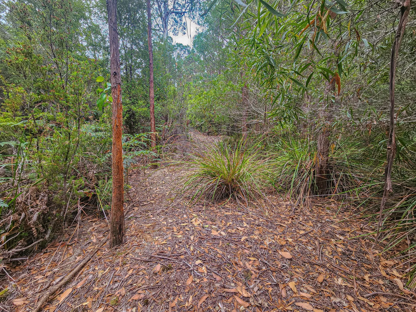 Additional image 12 of 1 Link Road, Lonnavale TAS 7109