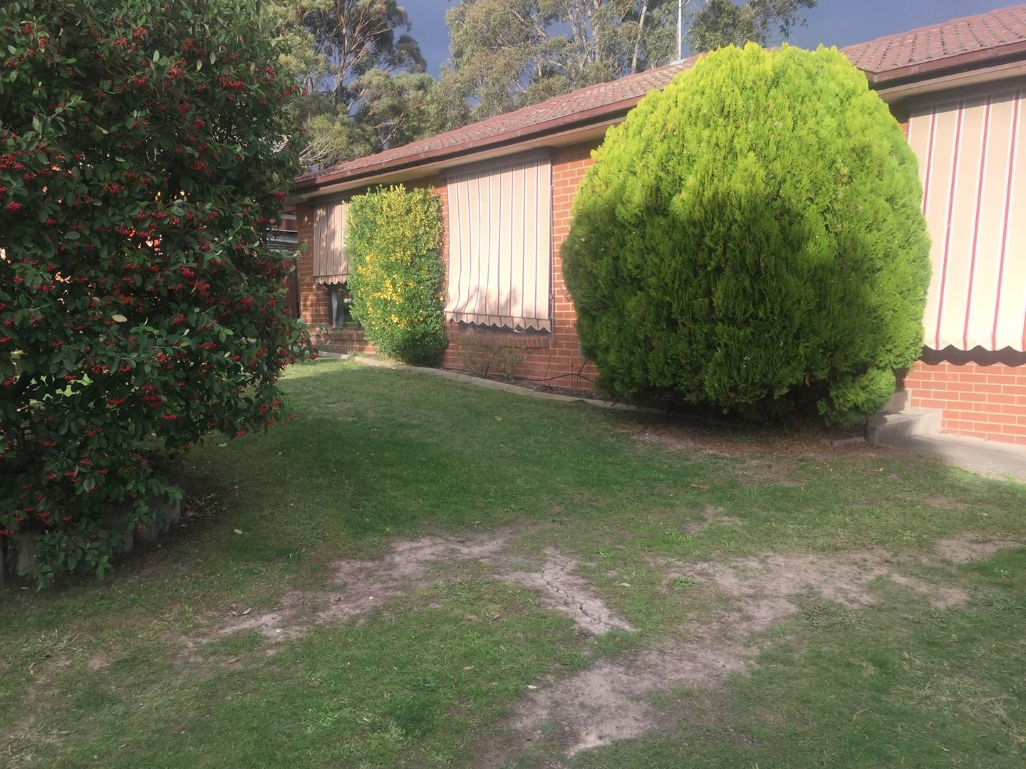 4  Coora Place, Churchill VIC 3842, Image 1
