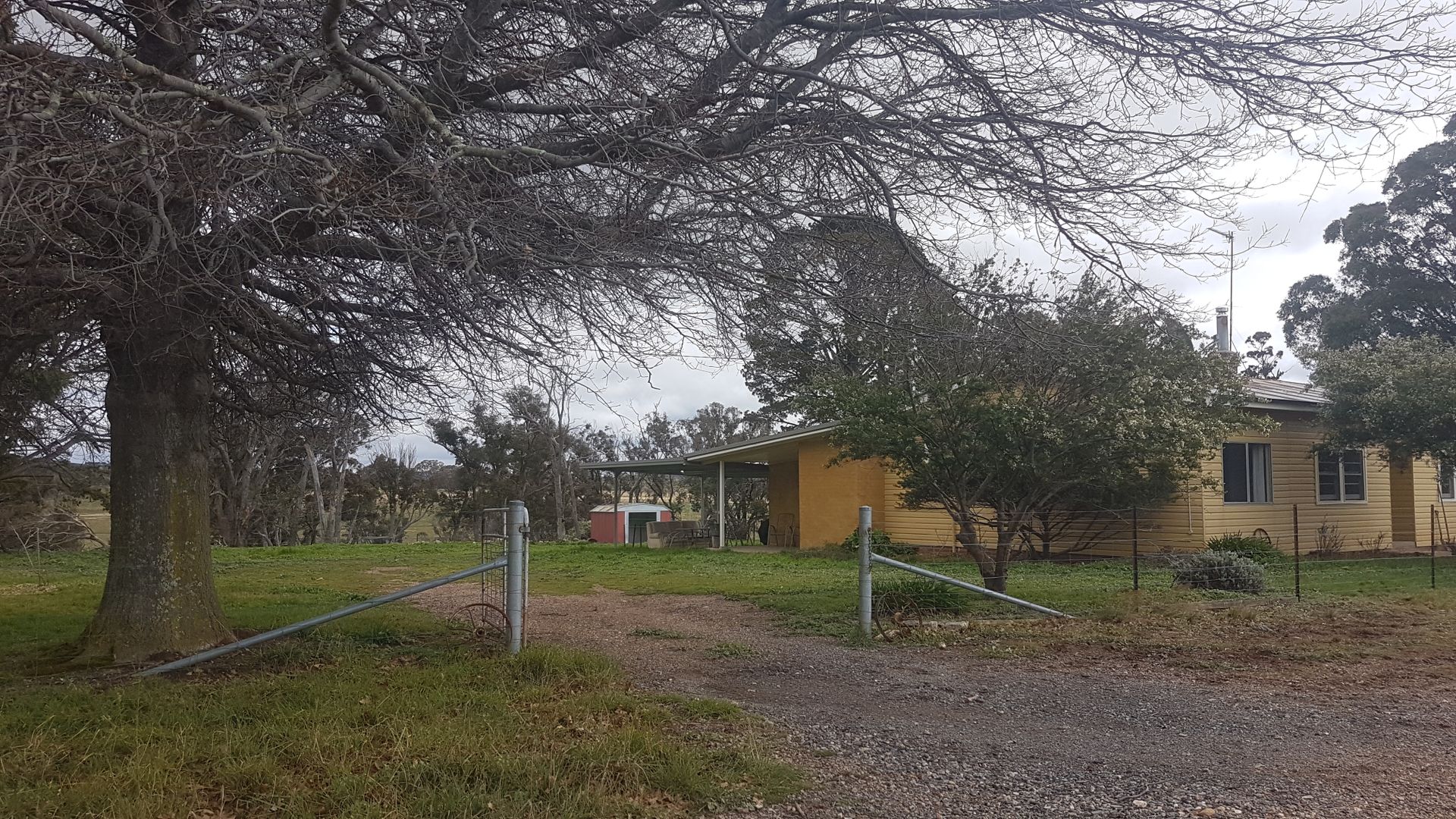 Pet Shop Gawler Pet Store Near Me Pets Domain