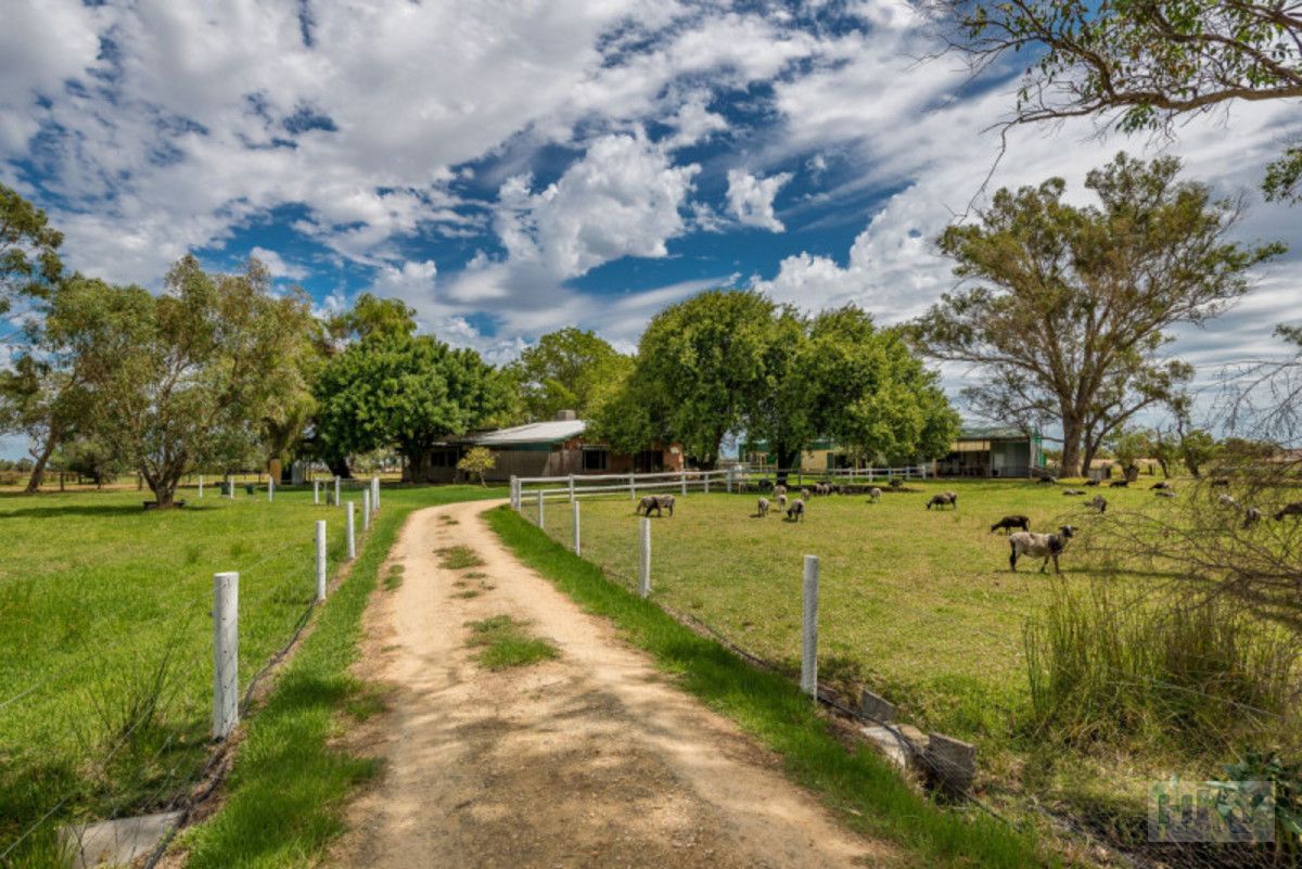Lot 2136 Neaves Road, Bullsbrook WA 6084 Domain