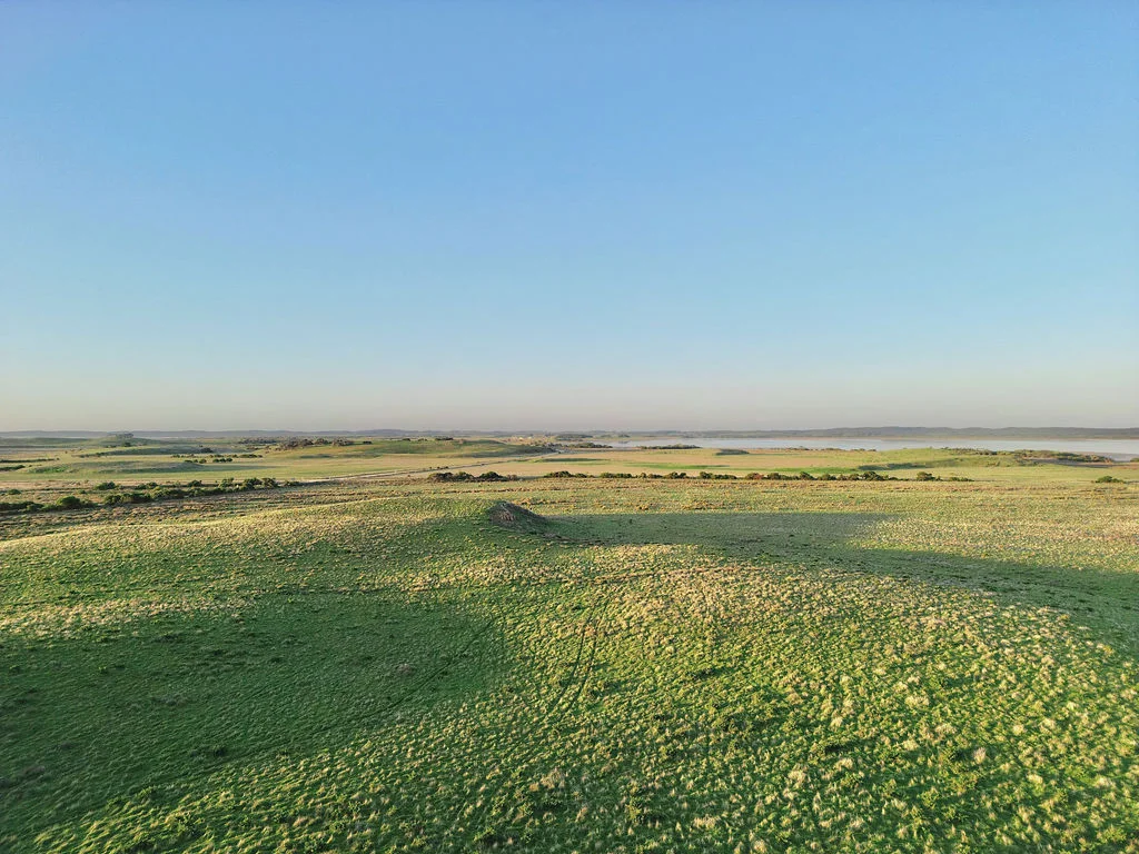 Image 15