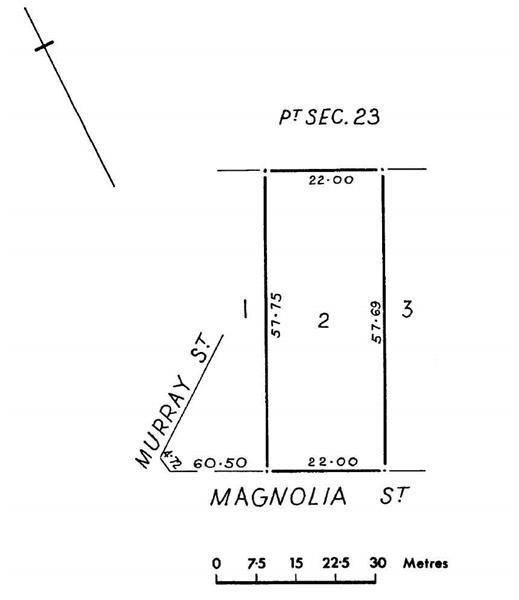 199 Murray Street & 2 Magnolia Street, Tanunda SA 5352, Image 1