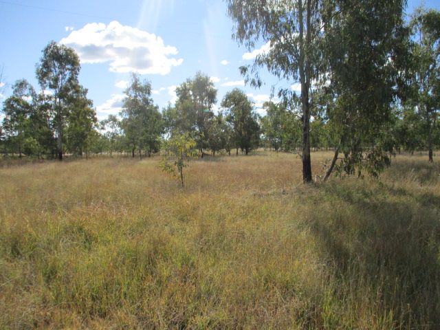 Lot 145 Kofoeds Road, Tara QLD 4421, Image 1