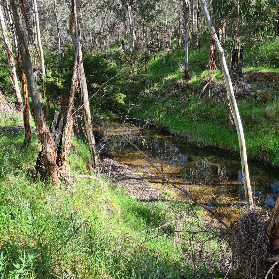 725 REEDY CREEK ROAD, Reedy Creek VIC 3658, Image 0