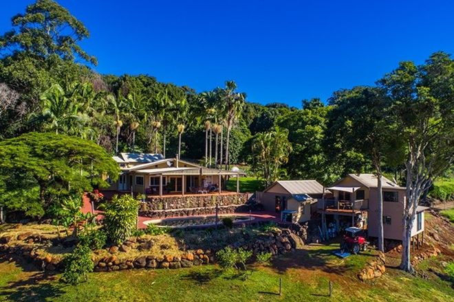 Picture of 206 Upper Coopers Creek Road, REPENTANCE CREEK NSW 2480