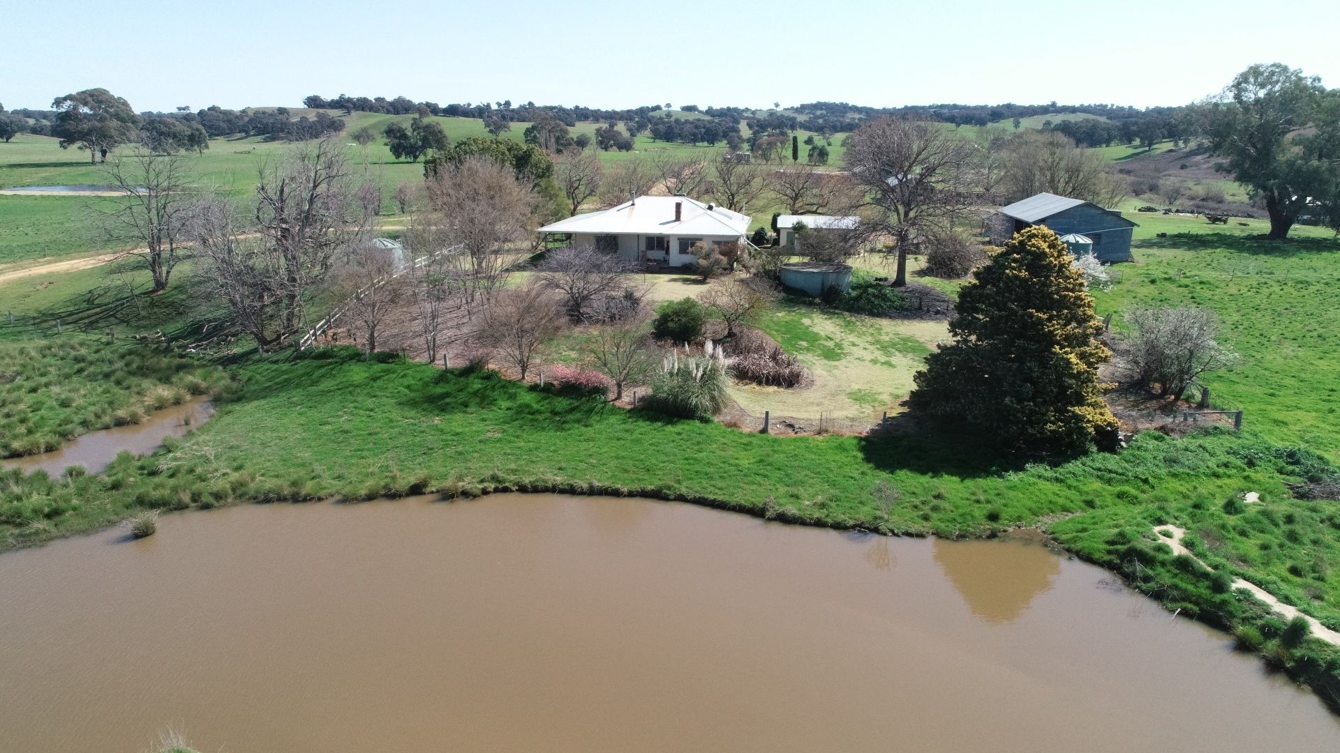 146 Springfield Lane, Tarcutta NSW 2652, Image 1