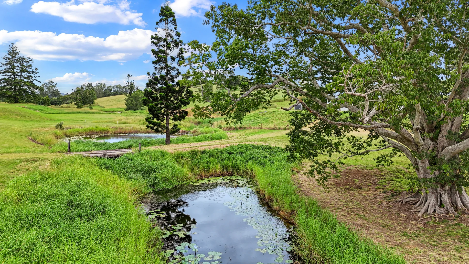 Additional image 5 of 30 Blacksmith Court, McIntosh Creek QLD 4570