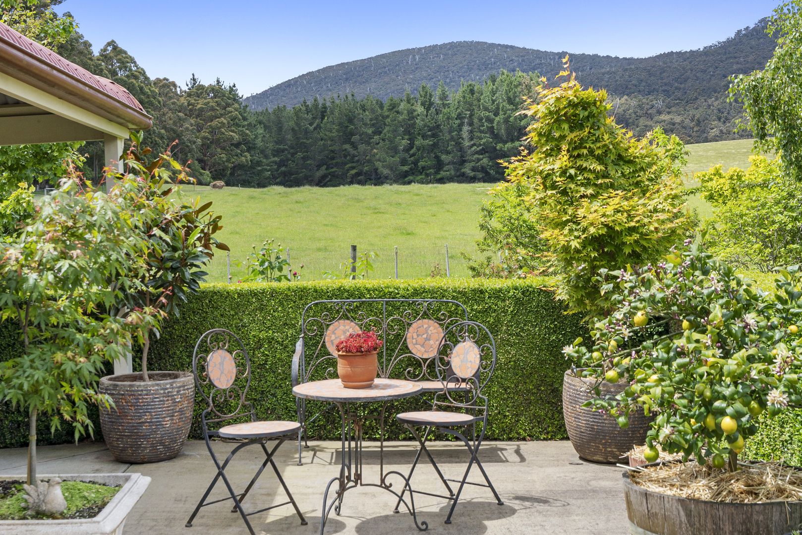 Mountain River TAS 7109 House for Sale Domain