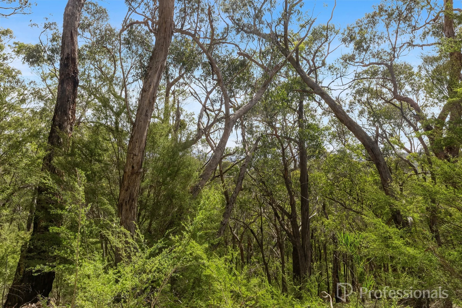 Additional image 10 of 221 Milners Road, Yarra Junction VIC 3797