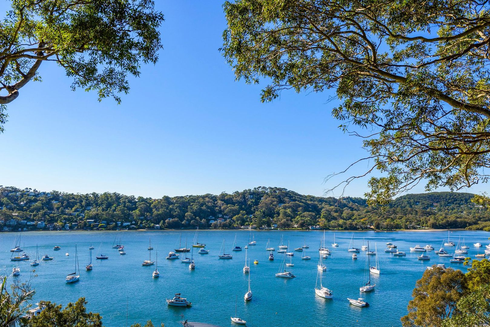 4 bedrooms House in 3 Cabarita Road AVALON BEACH NSW, 2107