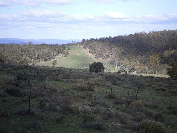 . Shannons Flat Rd, COOMA NSW 2630, Image 2