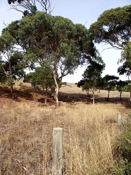 Lot 51 Bullaparinga Crescent, Delamere SA 5204, Image 0