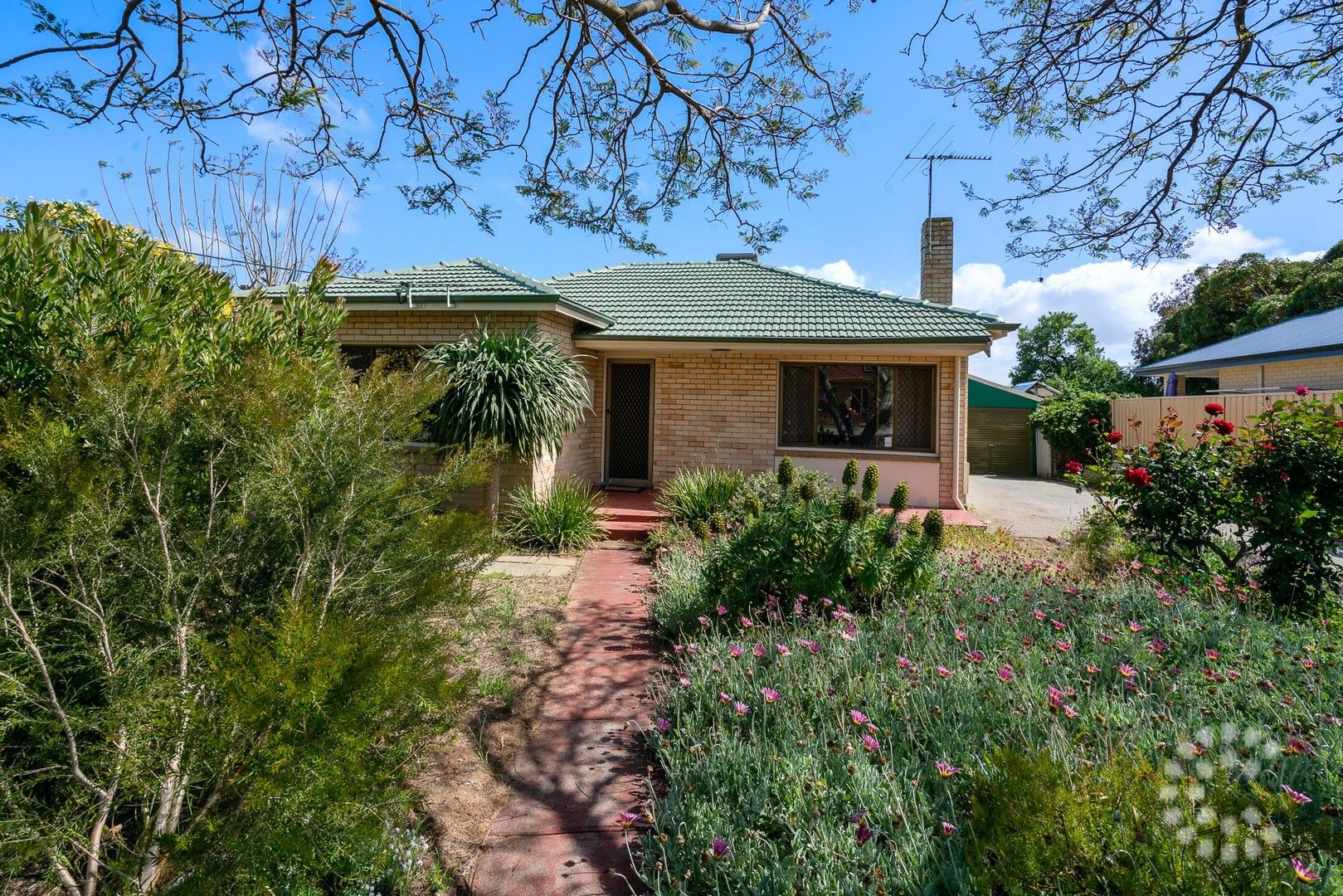 3 bedrooms House in 10 Gosch Street HAMILTON HILL WA, 6163