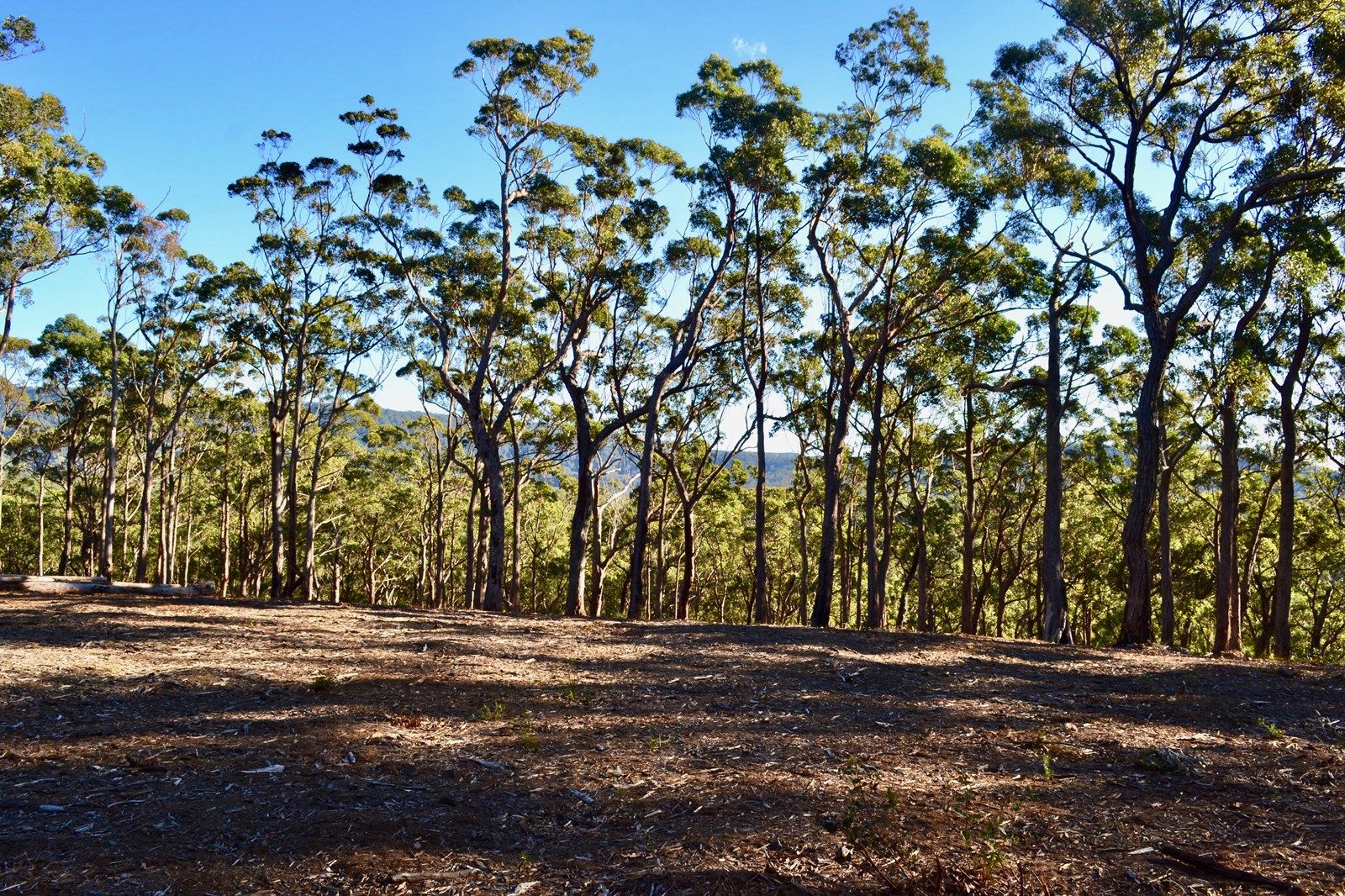 Lots 6,7,8 Little Forest Road, Little Forest NSW 2538, Image 1