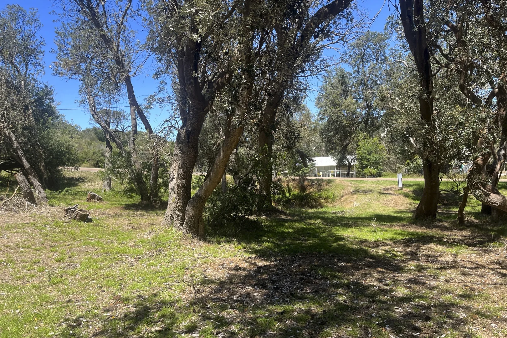 Image 7