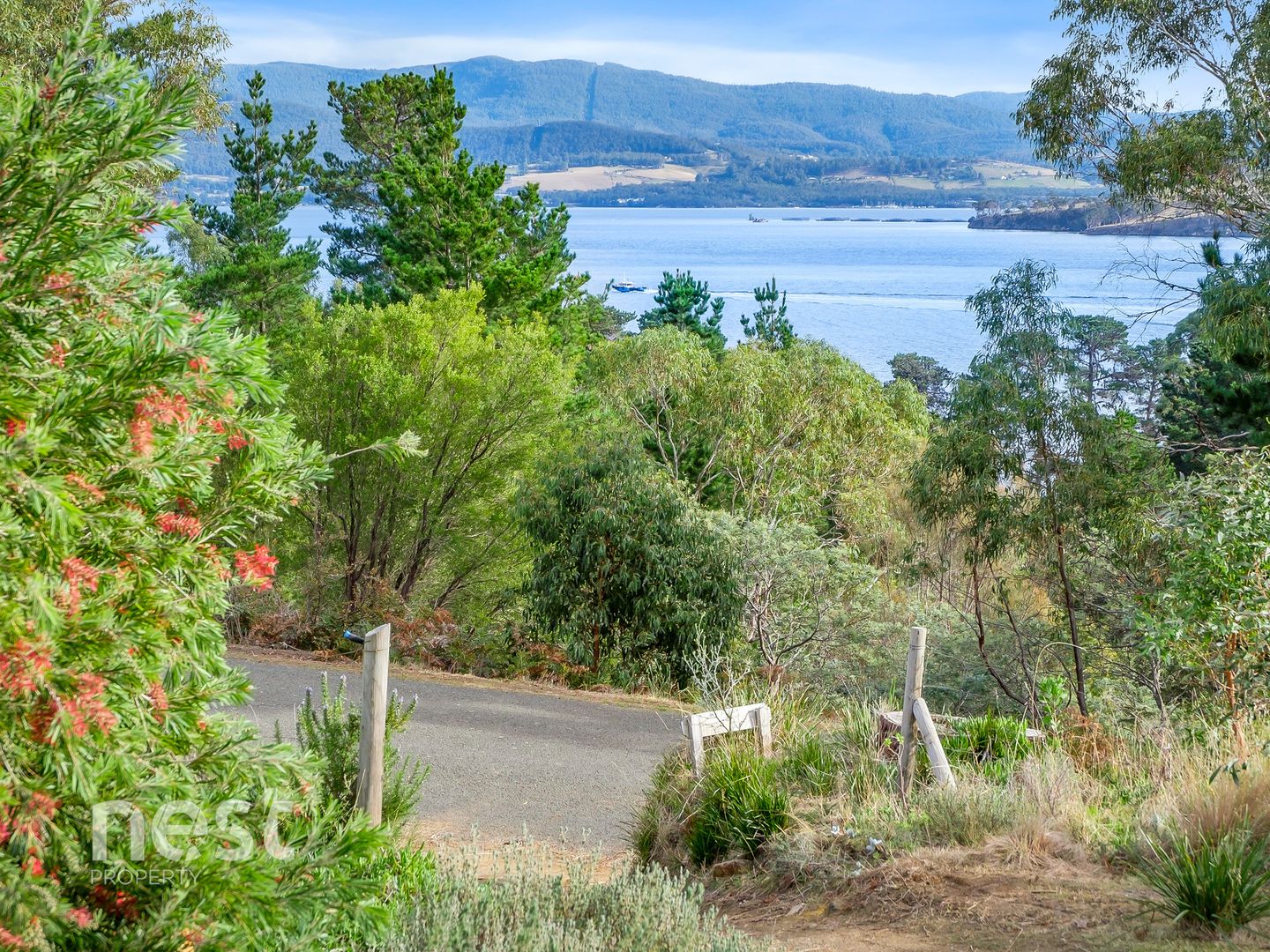 53 Bruny Island Main Road, Dennes Point TAS 7150 House For Sale Domain