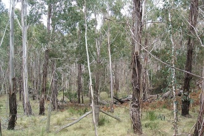 Picture of Lot 126 Foggy Forest Road, ANEMBO NSW 2621