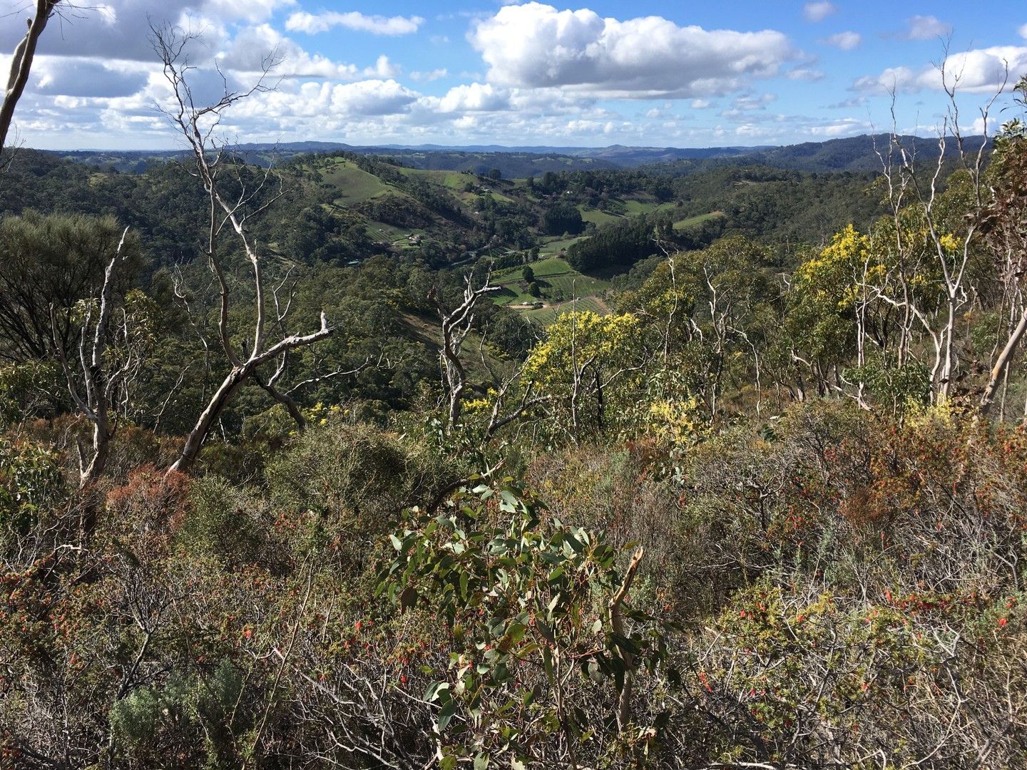 MOORES ROAD, Montacute SA 5134, Image 0