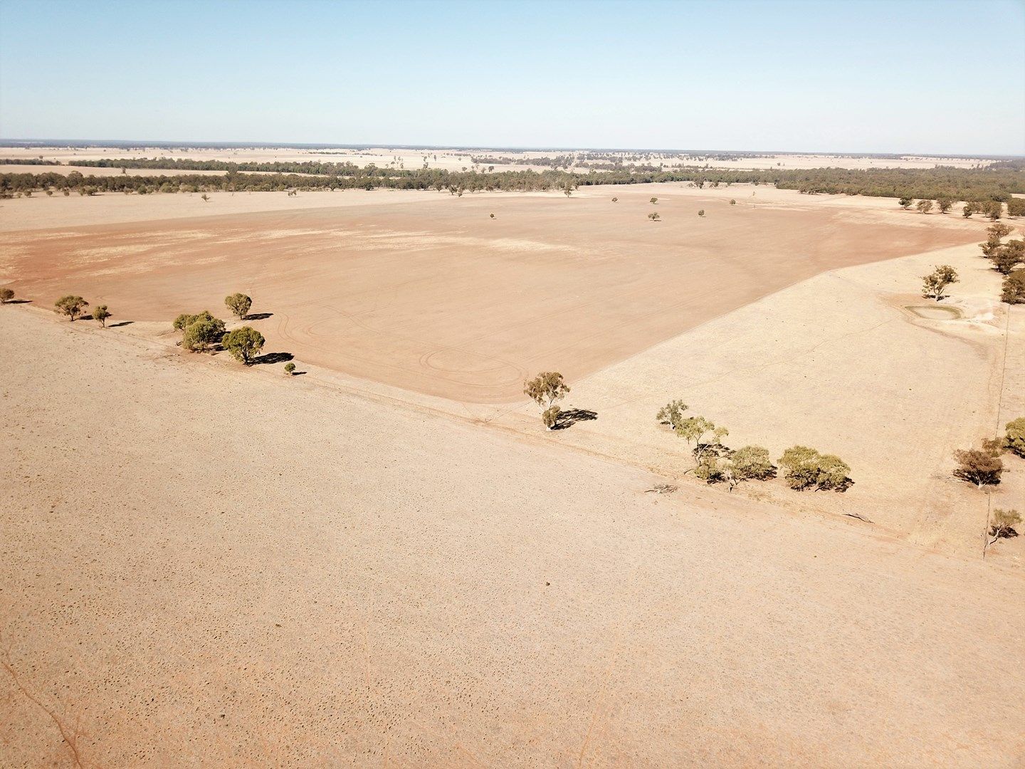 'Balgowan' Newell Highway, Dubbo NSW 2830, Image 0