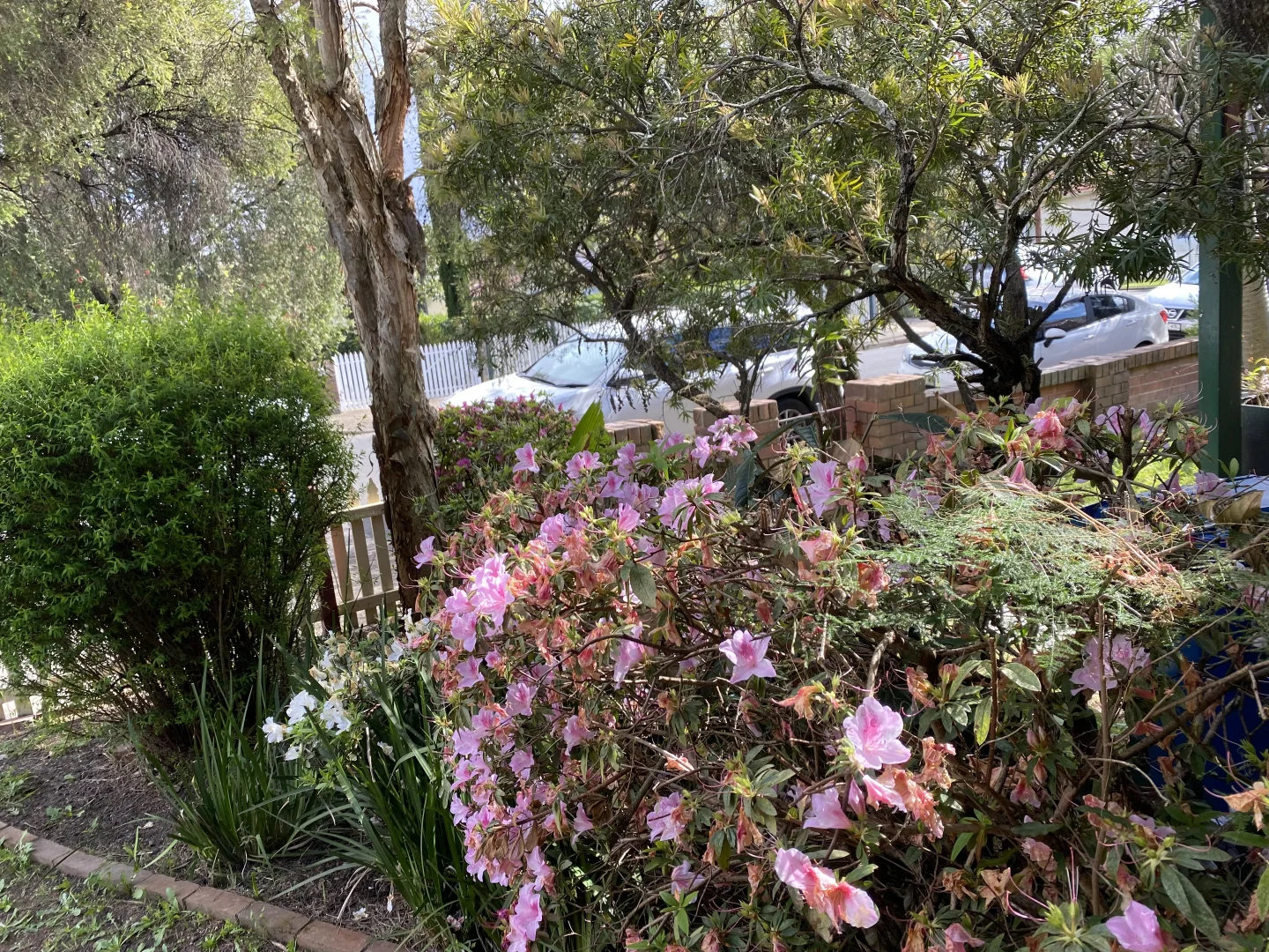 Additional image 10 of 5 Lucy Street, Ashfield NSW 2131