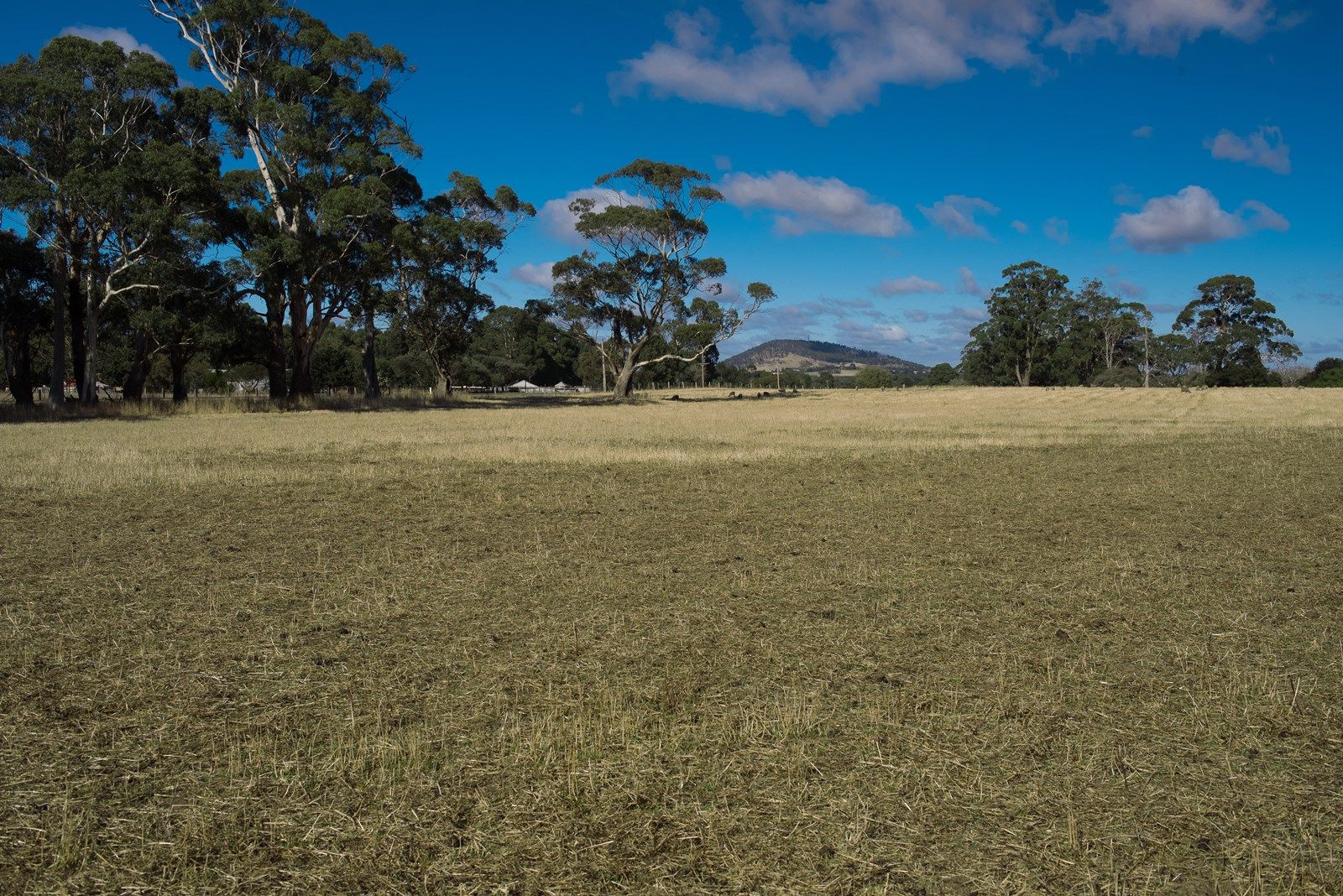 CA 4B Black Swamp Rd, Bullarook VIC 3352, Image 1