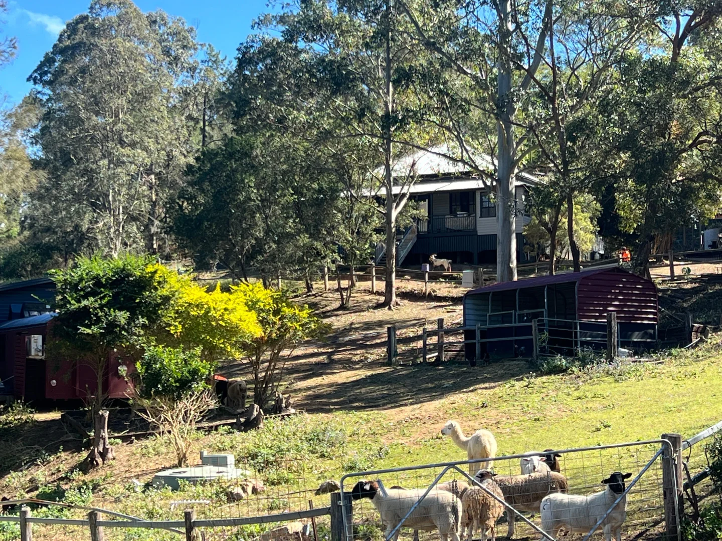 Additional image 28 of 9 Alpine Street, Draper QLD 4520