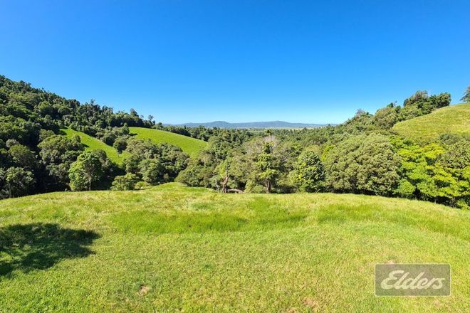 Picture of 554 Utchee Creek Road, UTCHEE CREEK QLD 4871