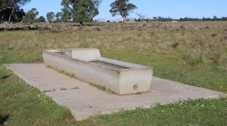Image 32