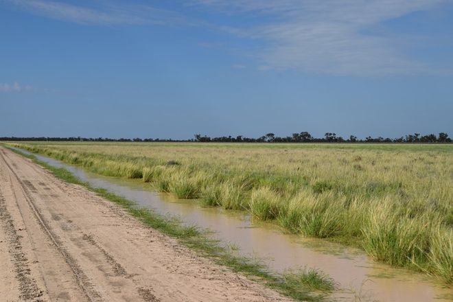 Picture of 'Malabar' 2012 Wilby Wilby Road, WALGETT NSW 2832