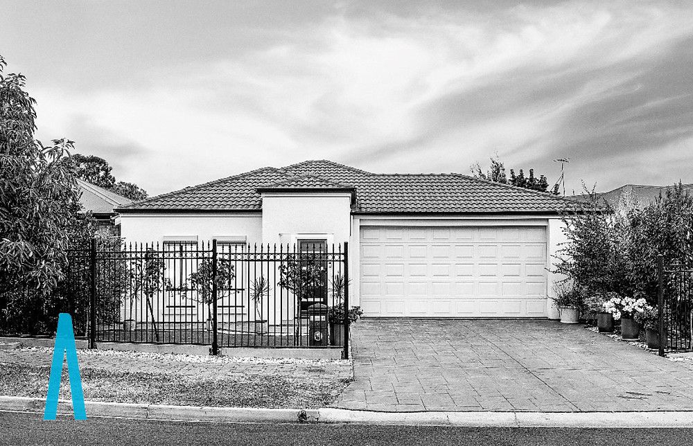 8a Tarpeena Avenue, Windsor Gardens SA 5087, Image 0