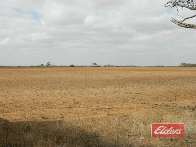 Lot 787 Calomba Road, Mallala SA 5502, Image 2