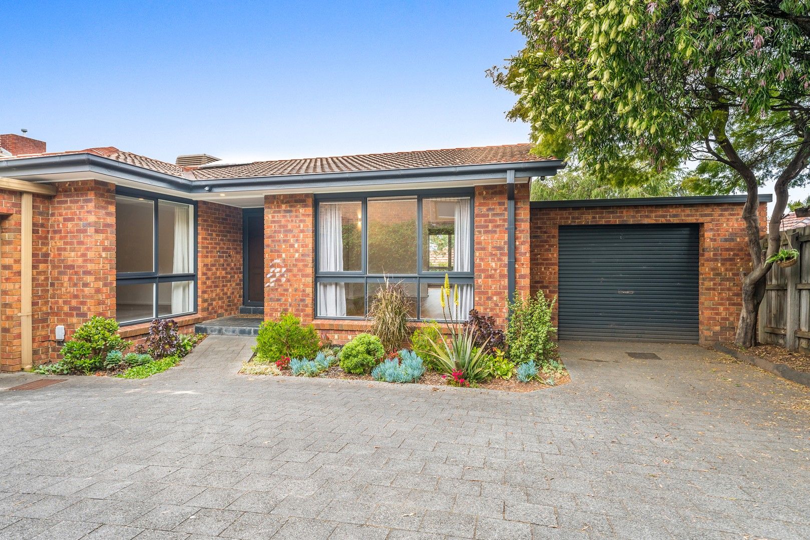 3 bedrooms Apartment / Unit / Flat in 2/36 Strathalbyn Street KEW EAST VIC, 3102