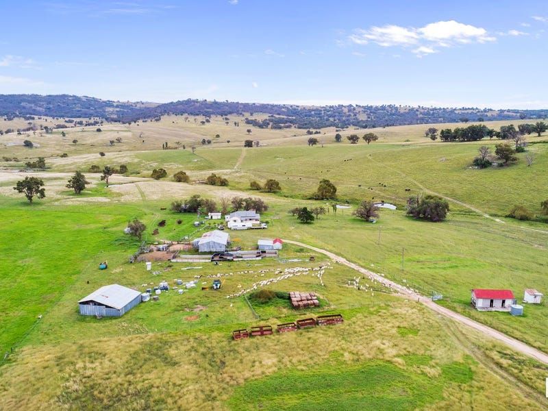 "Kurrajong Park" 2385 Danglemah Road, Woolbrook NSW 2354 Specialist