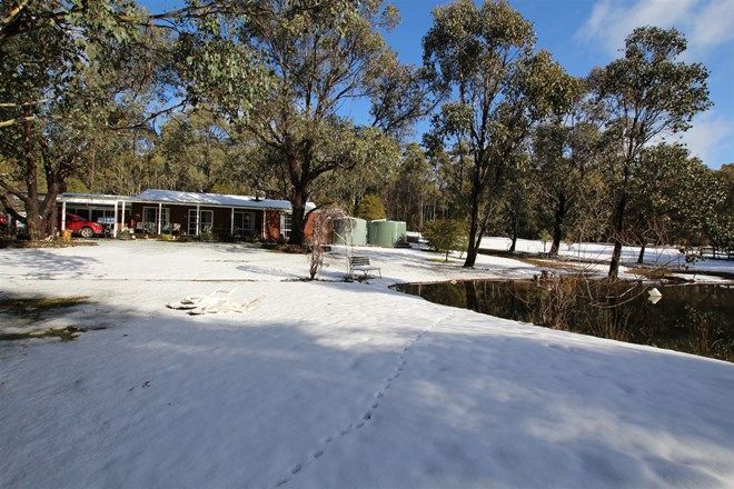 Picture of 2777 Mansfield Whitfield Rd, TOLMIE VIC 3723