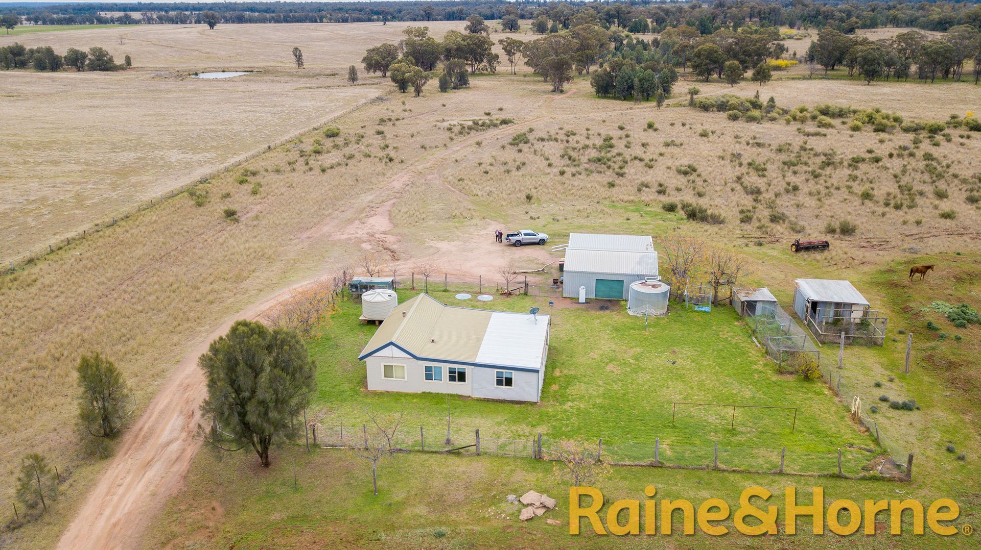 120R Minore Road, Minore NSW 2830, Image 2