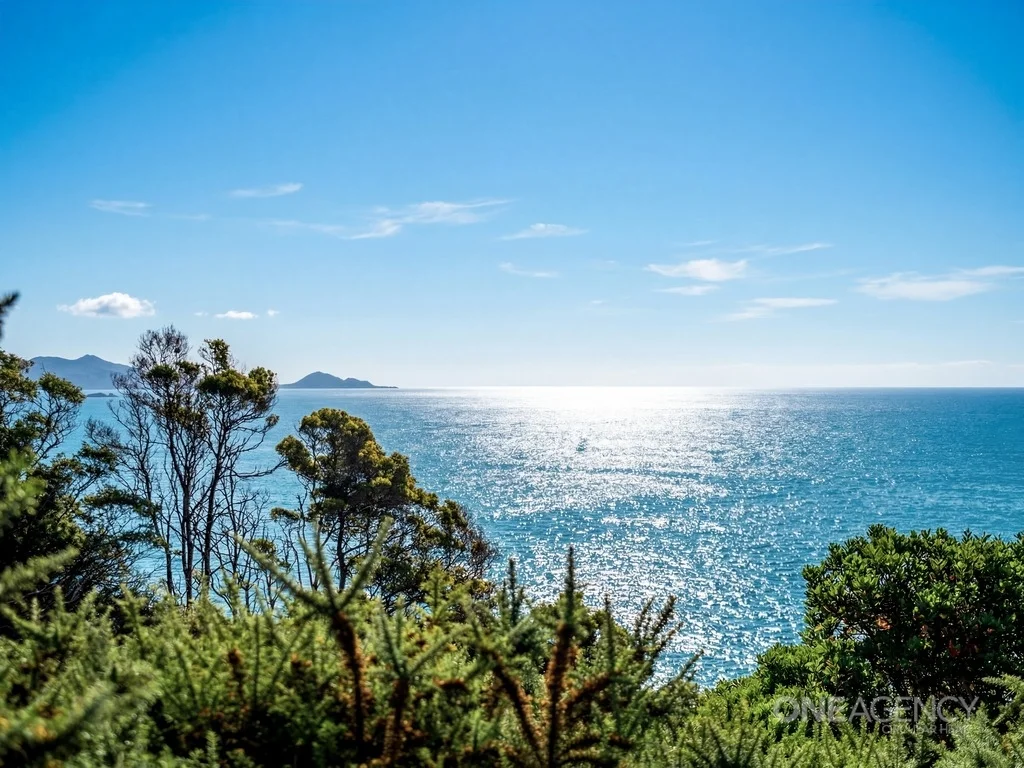 Additional image 10 of 472 Tollymore Road, Table Cape TAS 7325