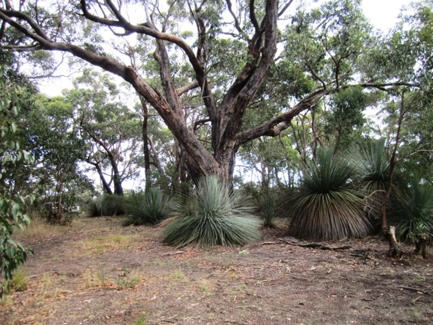 Lot 15 Rarkang Road, Silverton SA 5204, Image 1