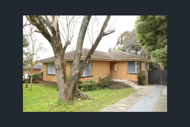 45 3 Bedroom Houses For Rent In Bayswater North Vic 3153 Domain
