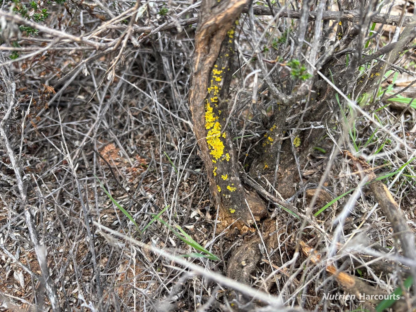 Image 14