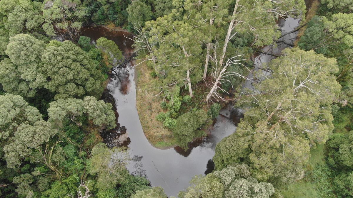 900 Westwicks Road, Carlisle River VIC 3239 House for Sale Domain