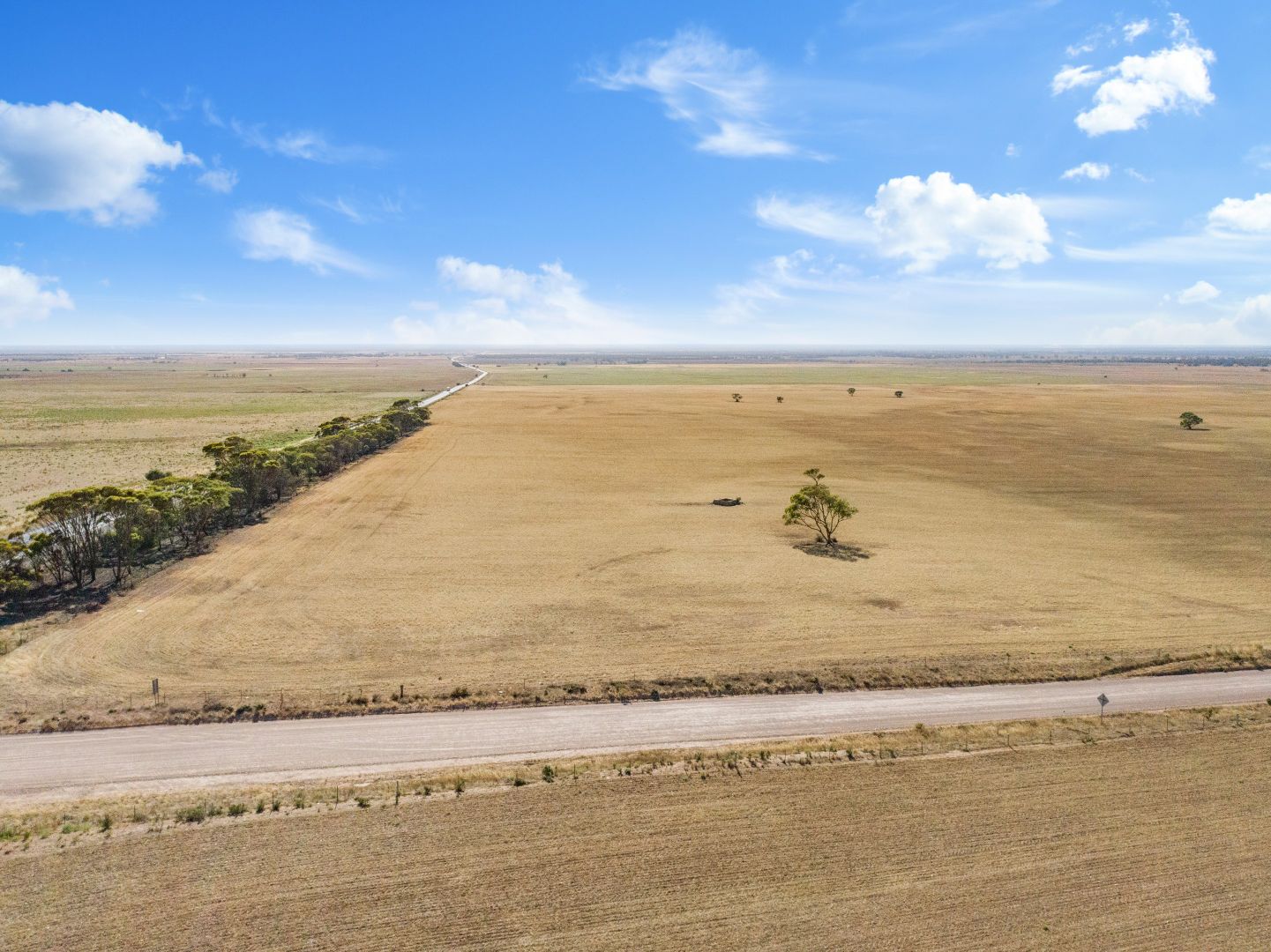 Lot 10 Sturt Highway, Truro SA 5356, Image 2