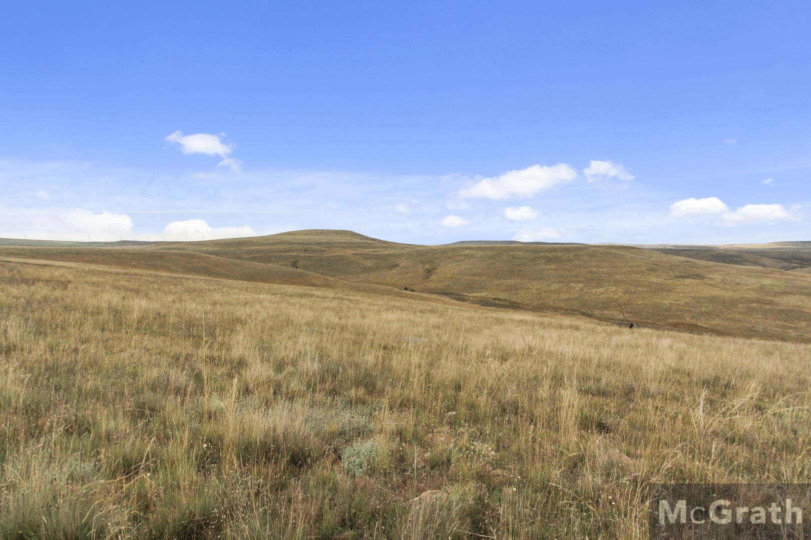 001 The Snowy River Way Way, Bungarby NSW 2630, Image 1