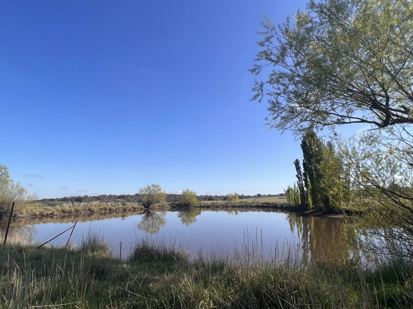 Image 13