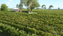 Picture of 11 Maaoupe Road, COONAWARRA SA 5263