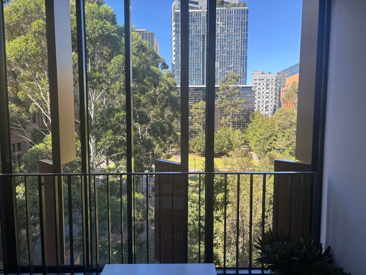 8 Central Park Ave, Chippendale NSW 2008