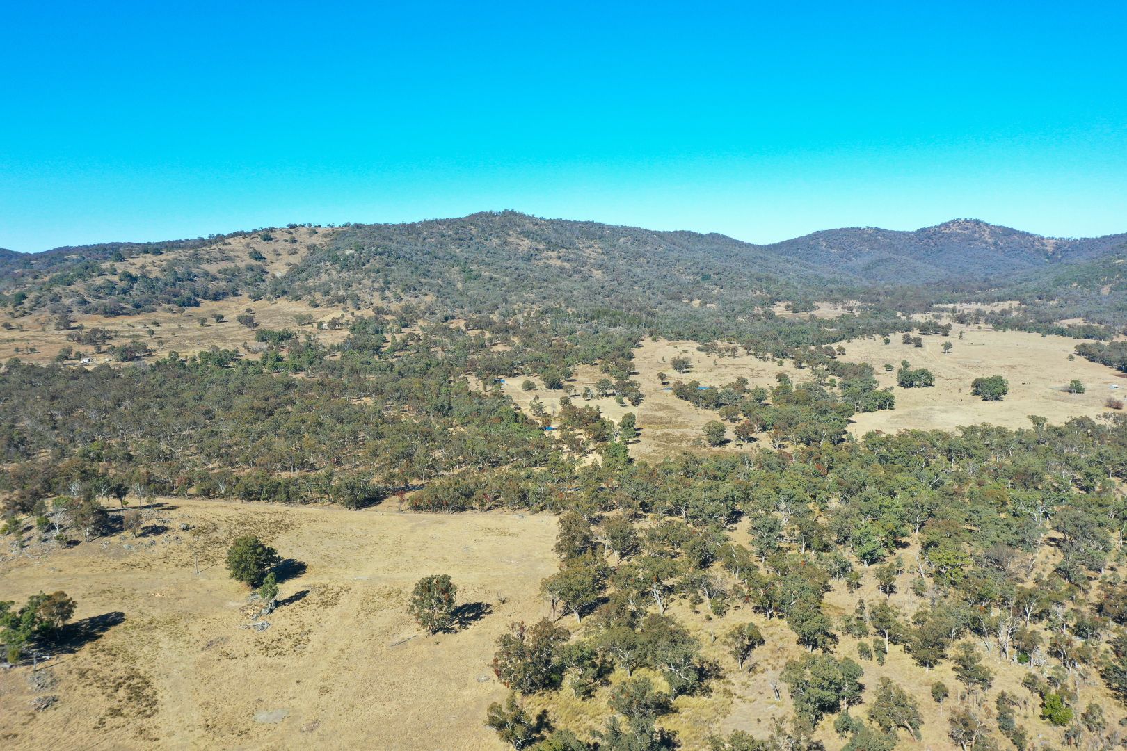 Lot 40 2351 Bruxner Way, Tenterfield NSW 2372, Image 2