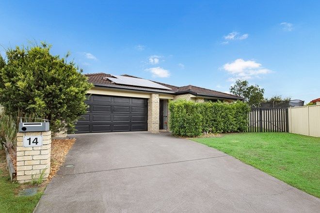 Picture of 14 Winston Court, LANDSBOROUGH QLD 4550